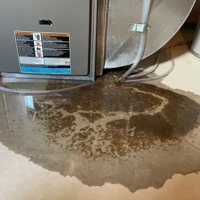 Appliance Leak Cleanup in Sherman County, KS